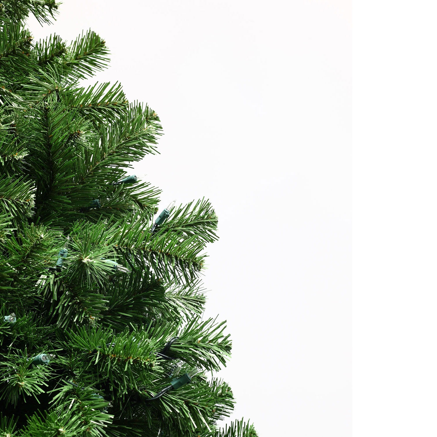 Sequoia Fir Profile