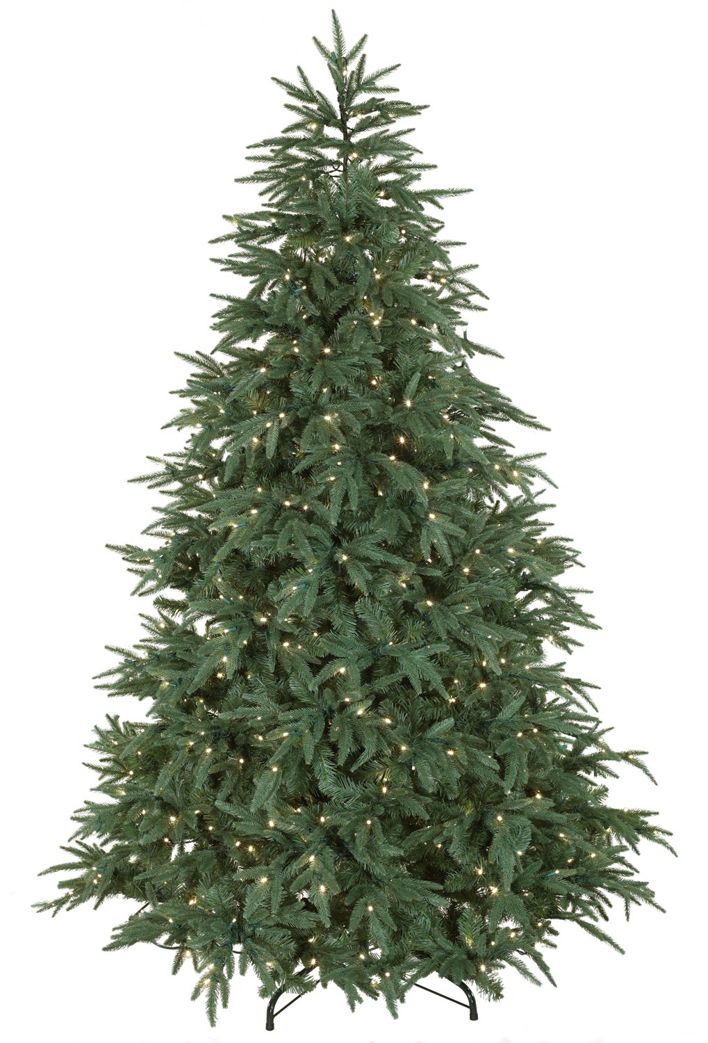 Blue Aspen Fir Tree