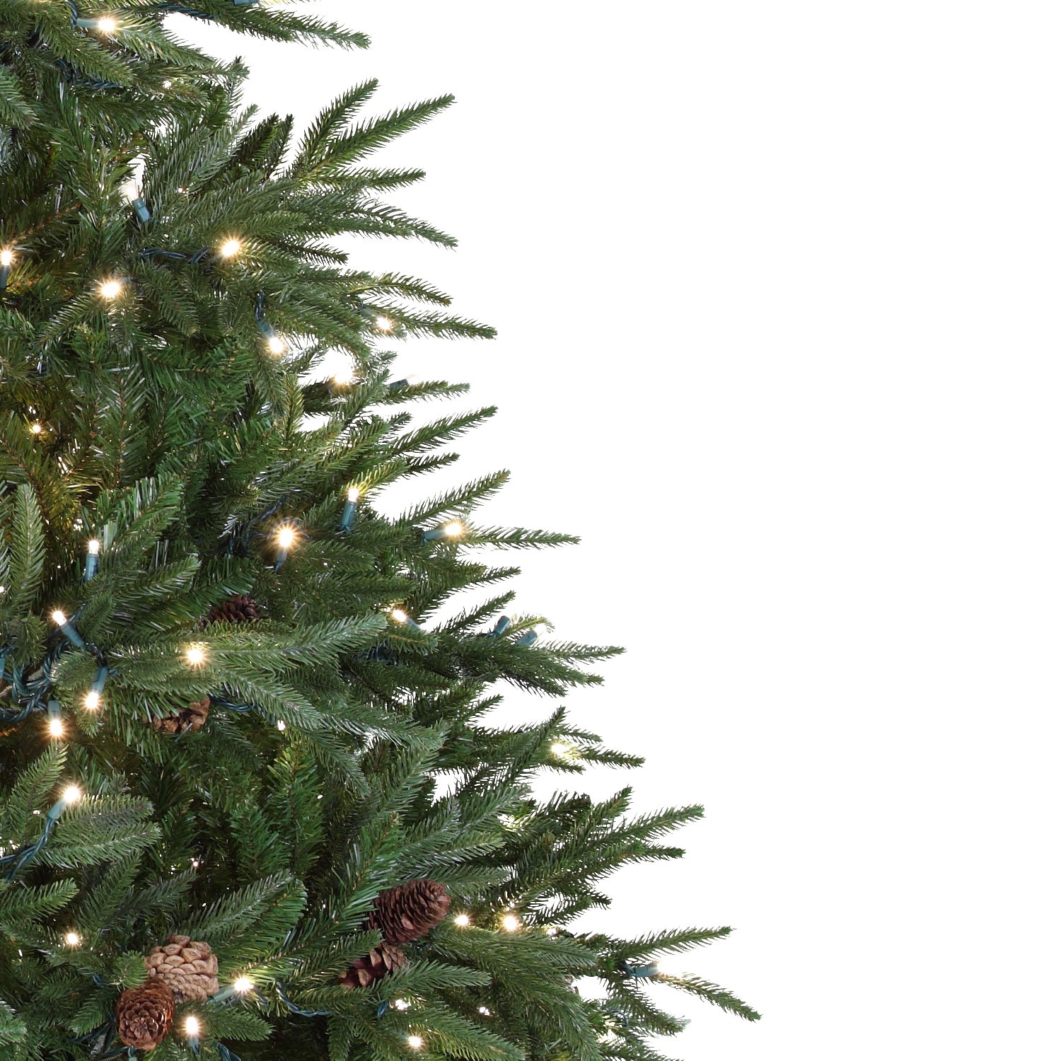 Colorado Pine Profile
