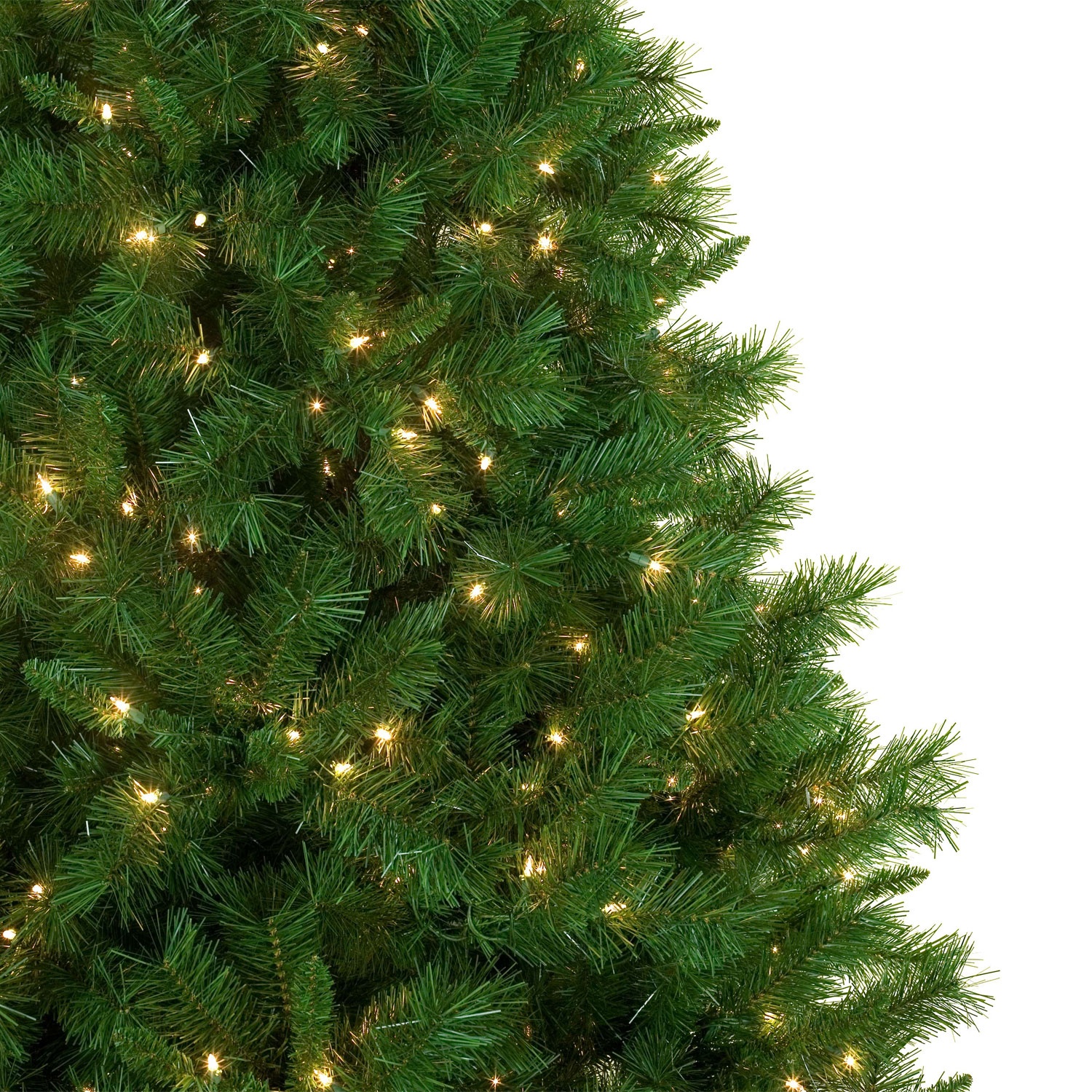 Dunhill Fir Tree Profile