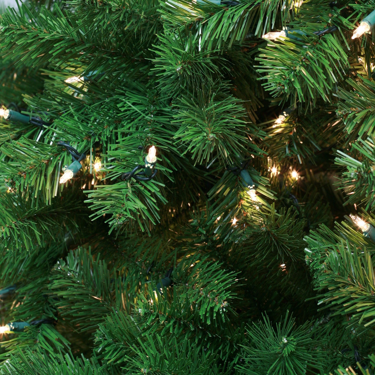 Sequoia Fir Tip Bundle