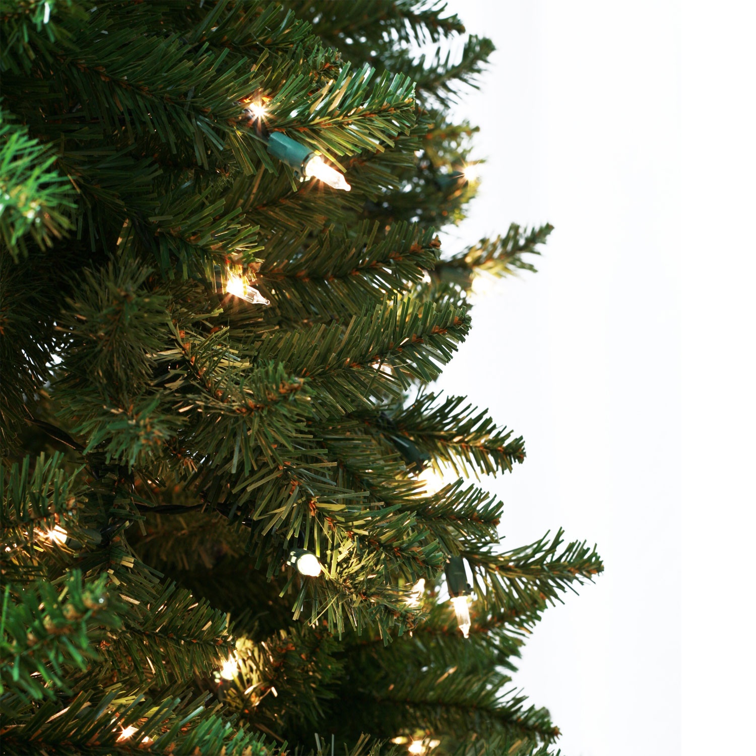 Tiffany Tree Profile