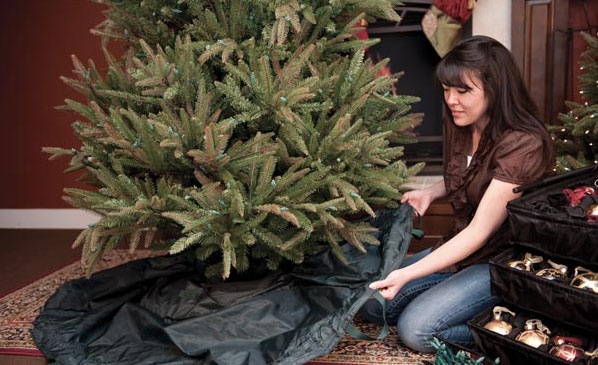 TreeKeeper in use