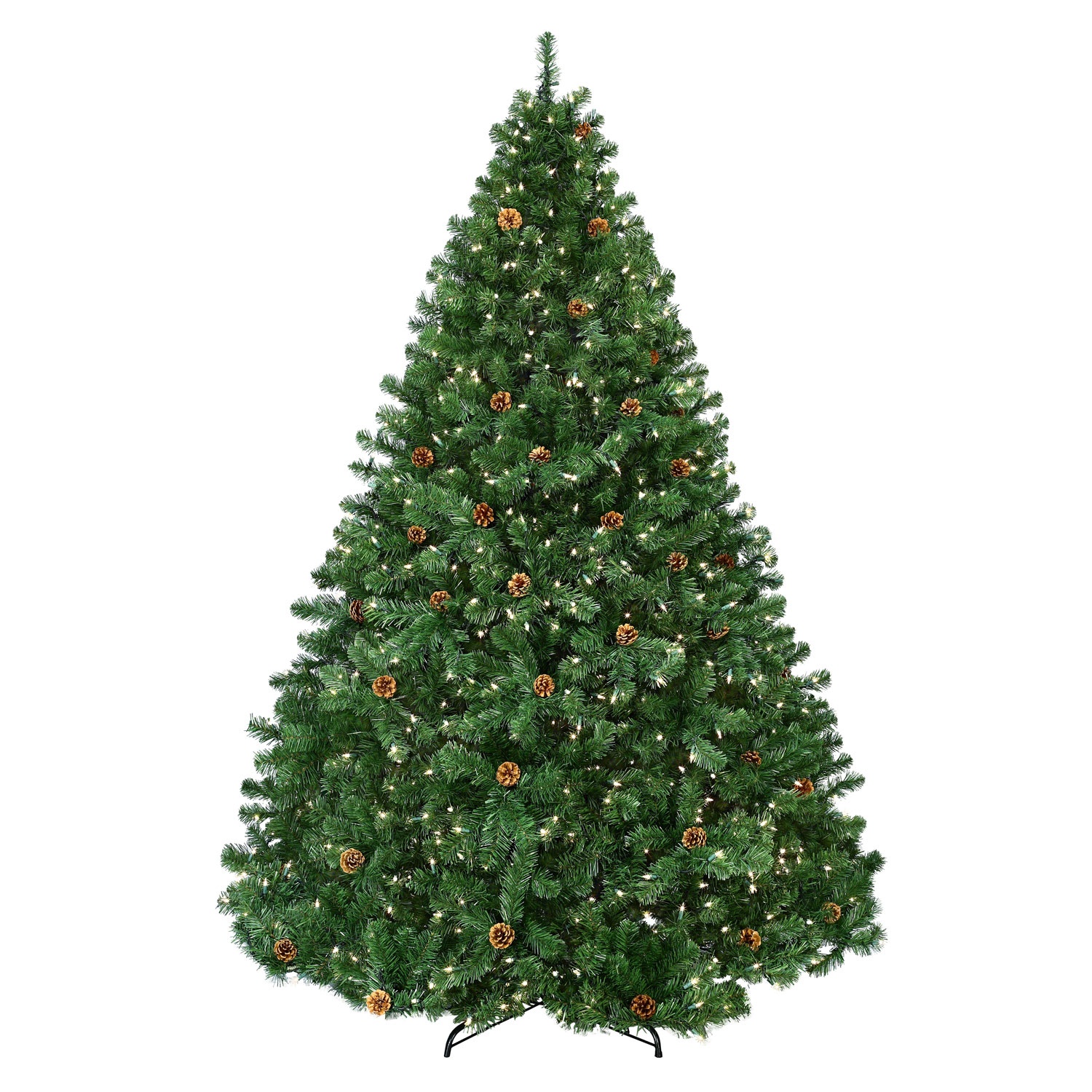 Winchester Tree 