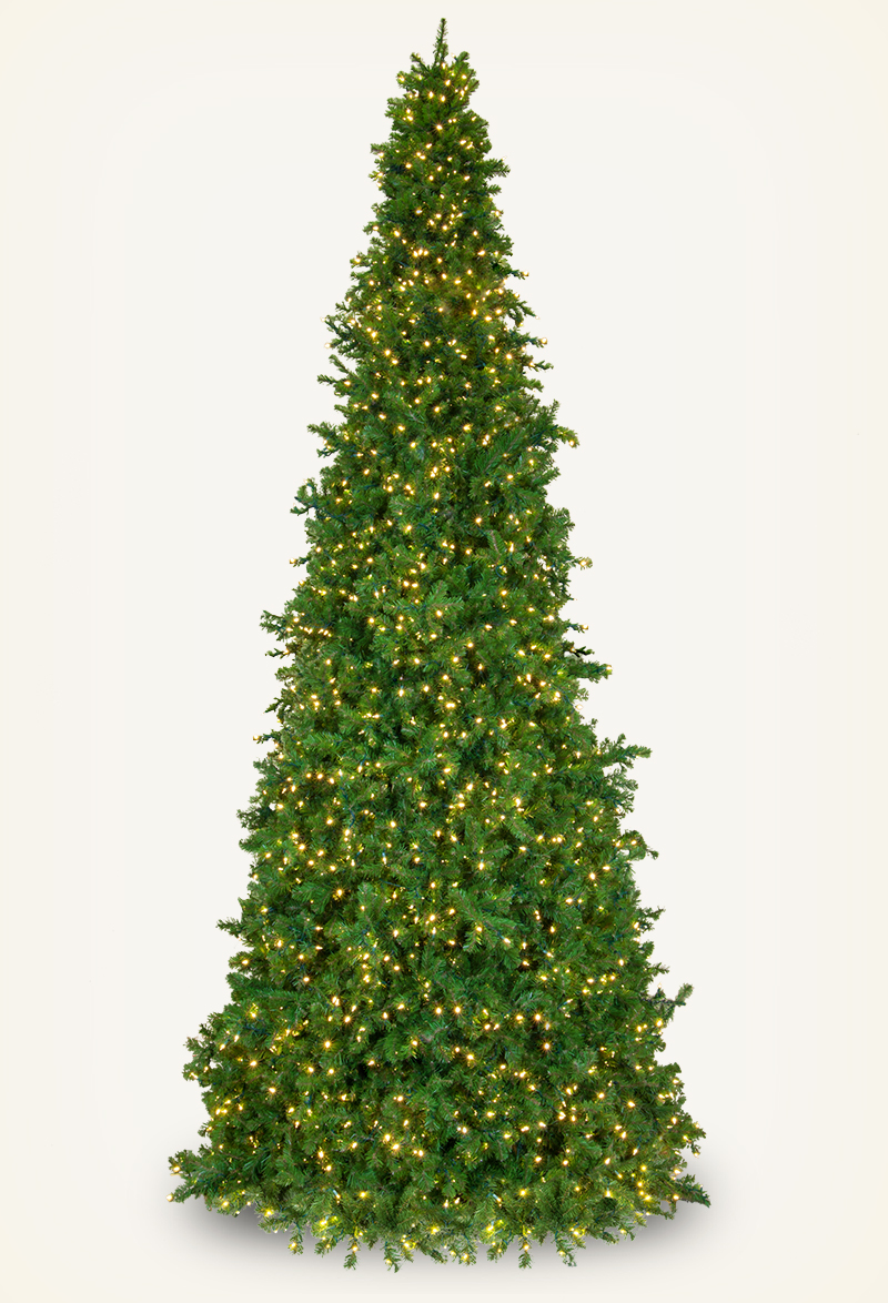 15' Olympia Pine Mini Frame Full Prelit Commercial Tree