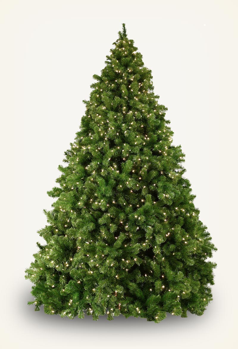 Sequoia Fir Prelit Tree