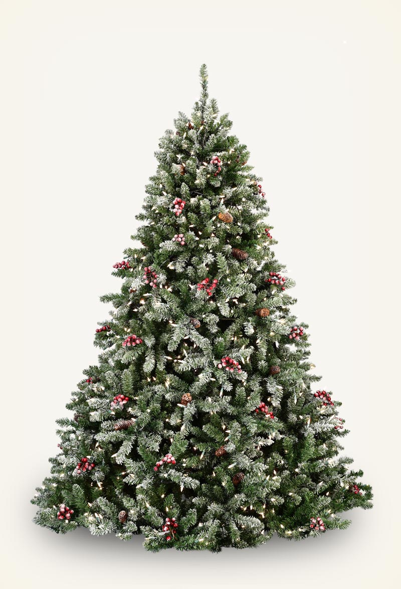 cheap black christmas trees photo albums perfect homes cheap black christmas trees photo albums perfect homes