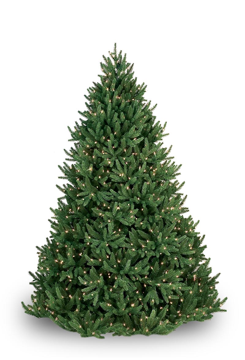 Noble Fir Prelit Tree - Christmas Lights, Etc 7.5 Jackson Noble Fir Pre Lit Christmas Tree