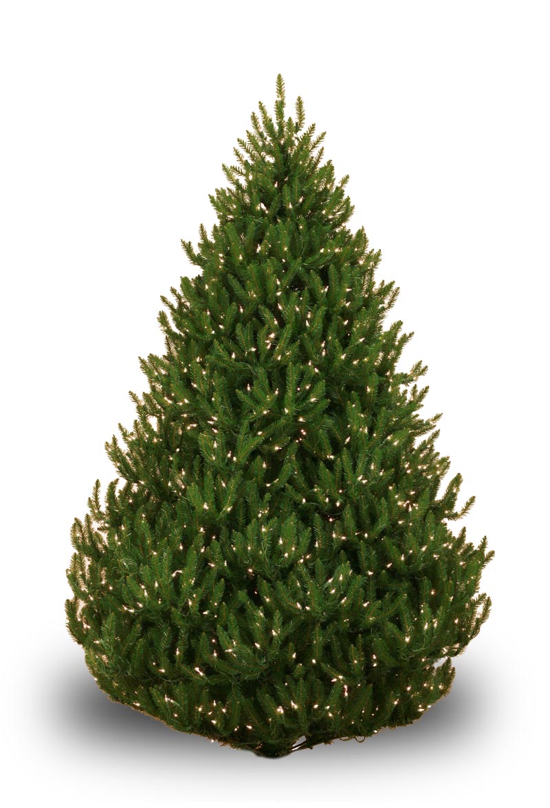 norway spruce prelit tree christmas lights etc lighted outdoor christmas wreaths