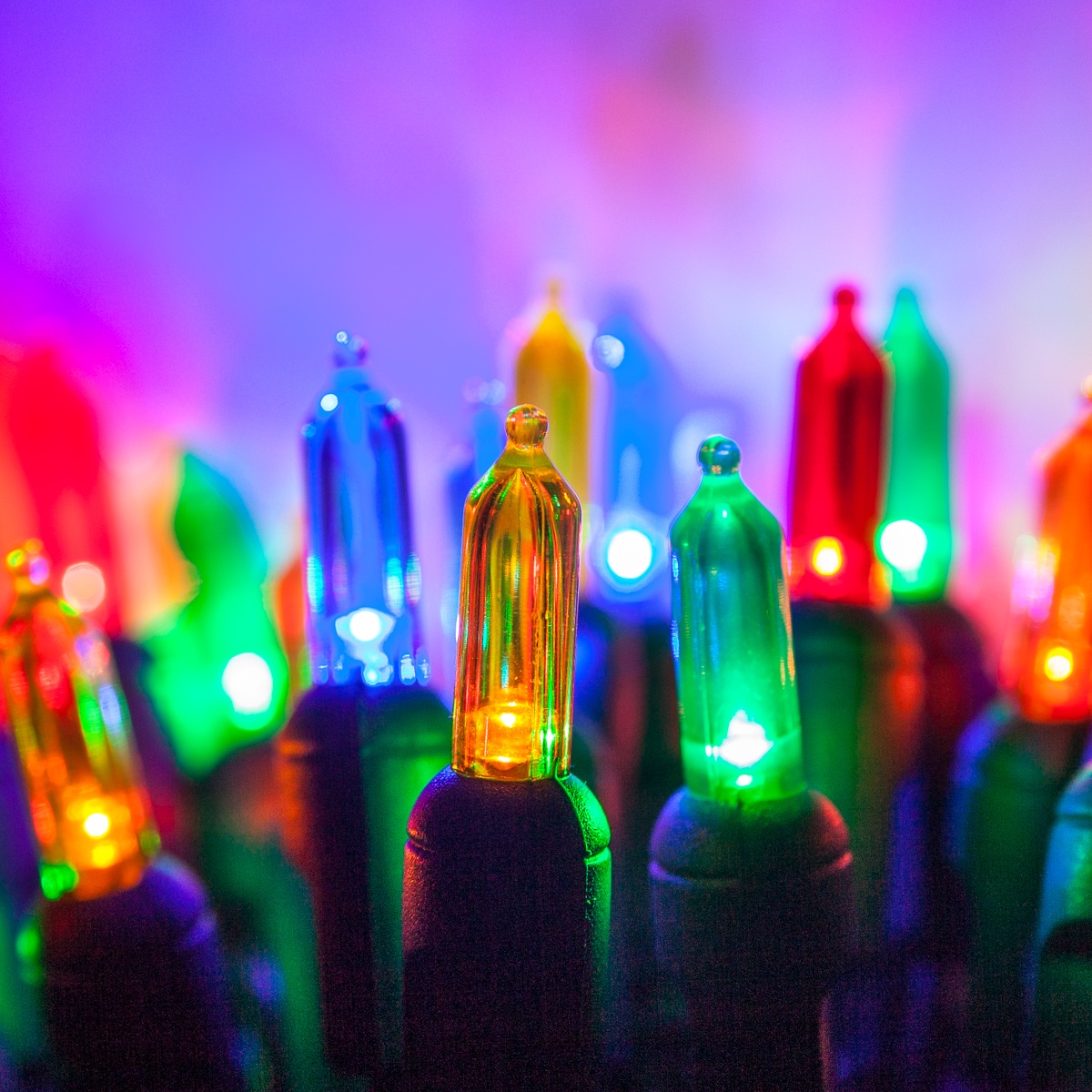 LED Christmas Lights