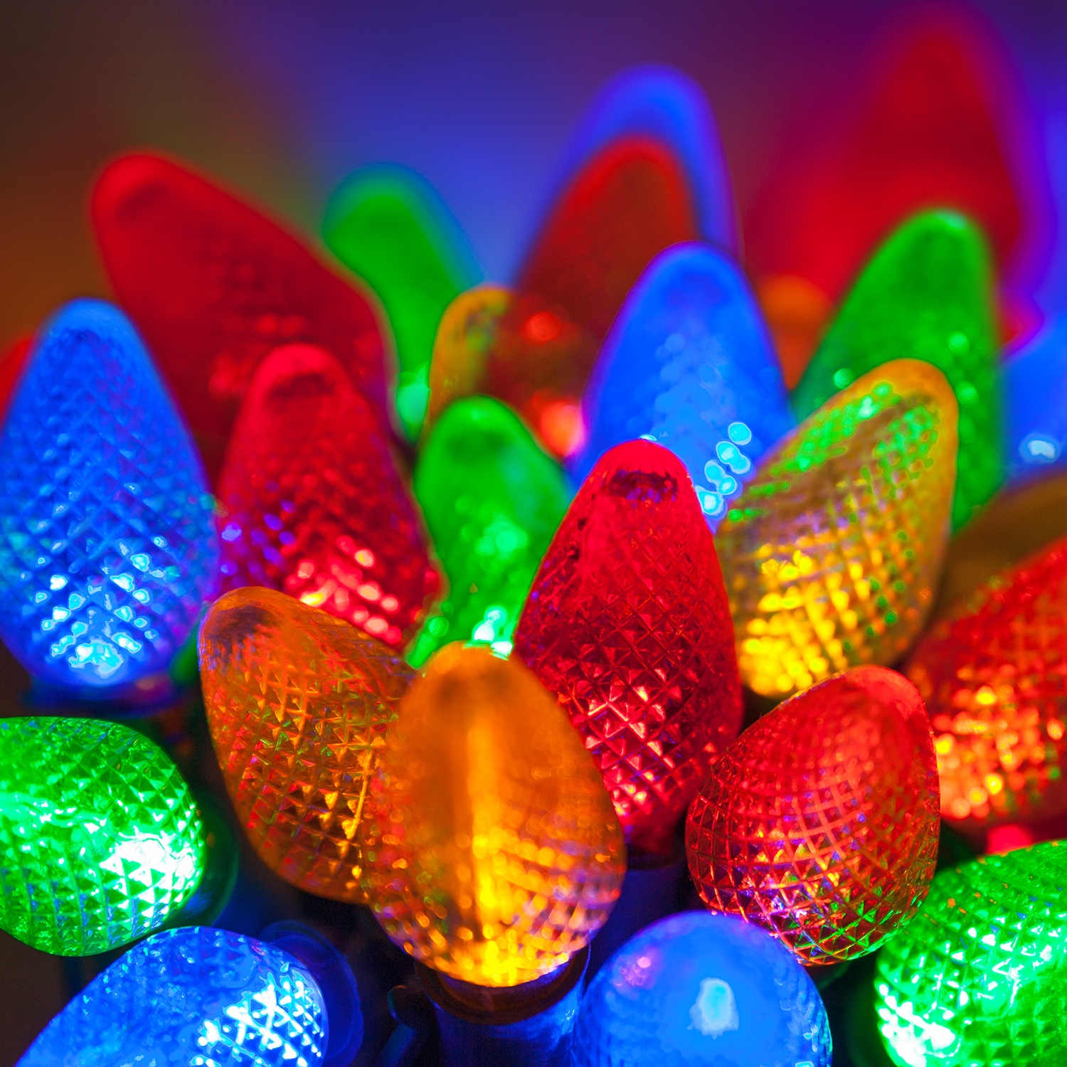 C7 / C9 Christmas Lights