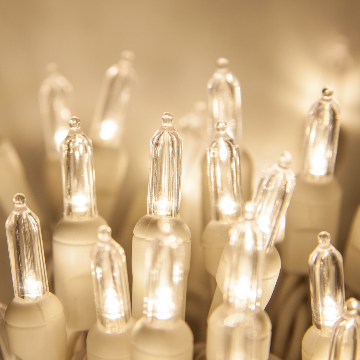 White LED Christmas Lights