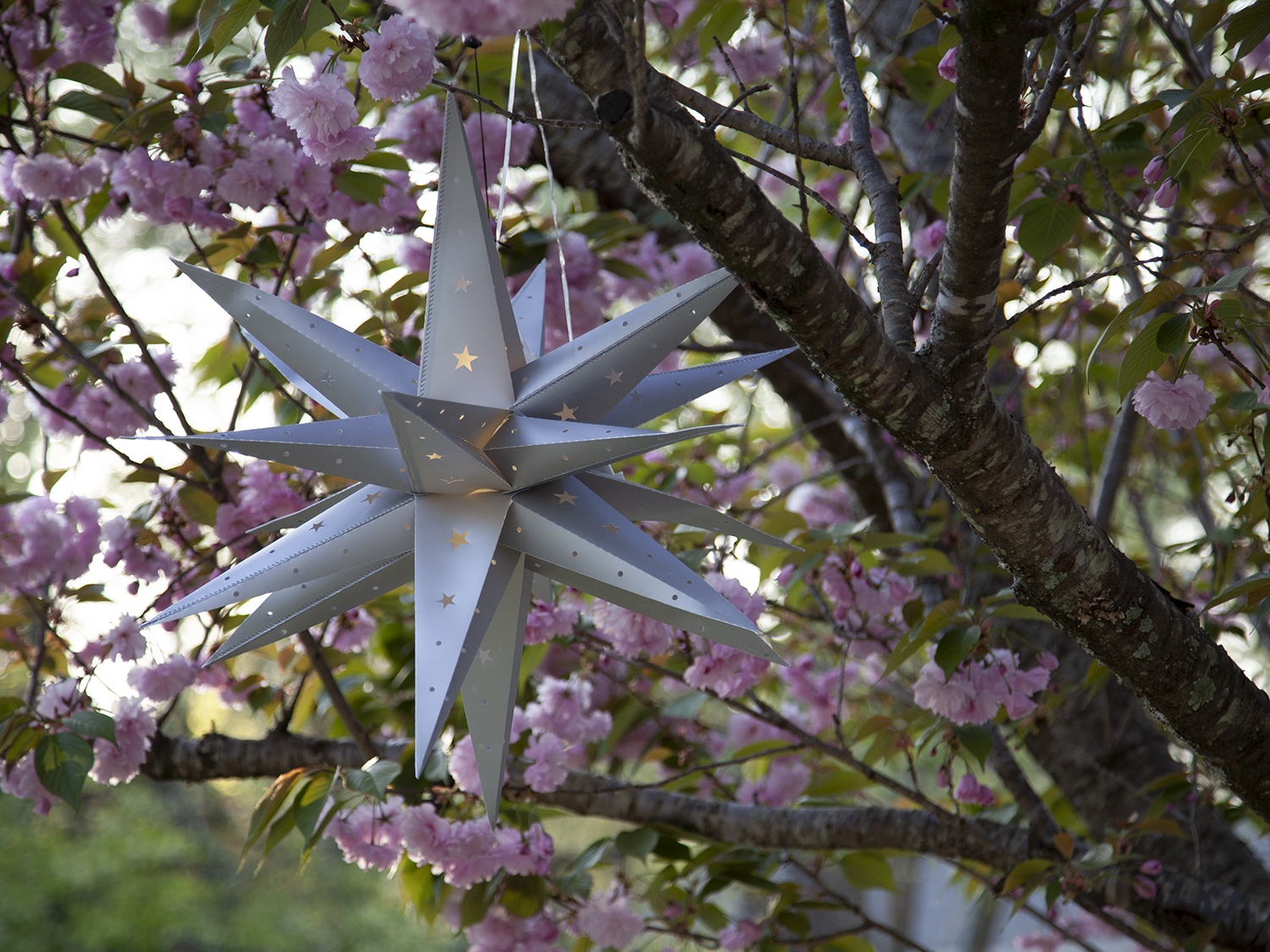 Moravian Star Lights