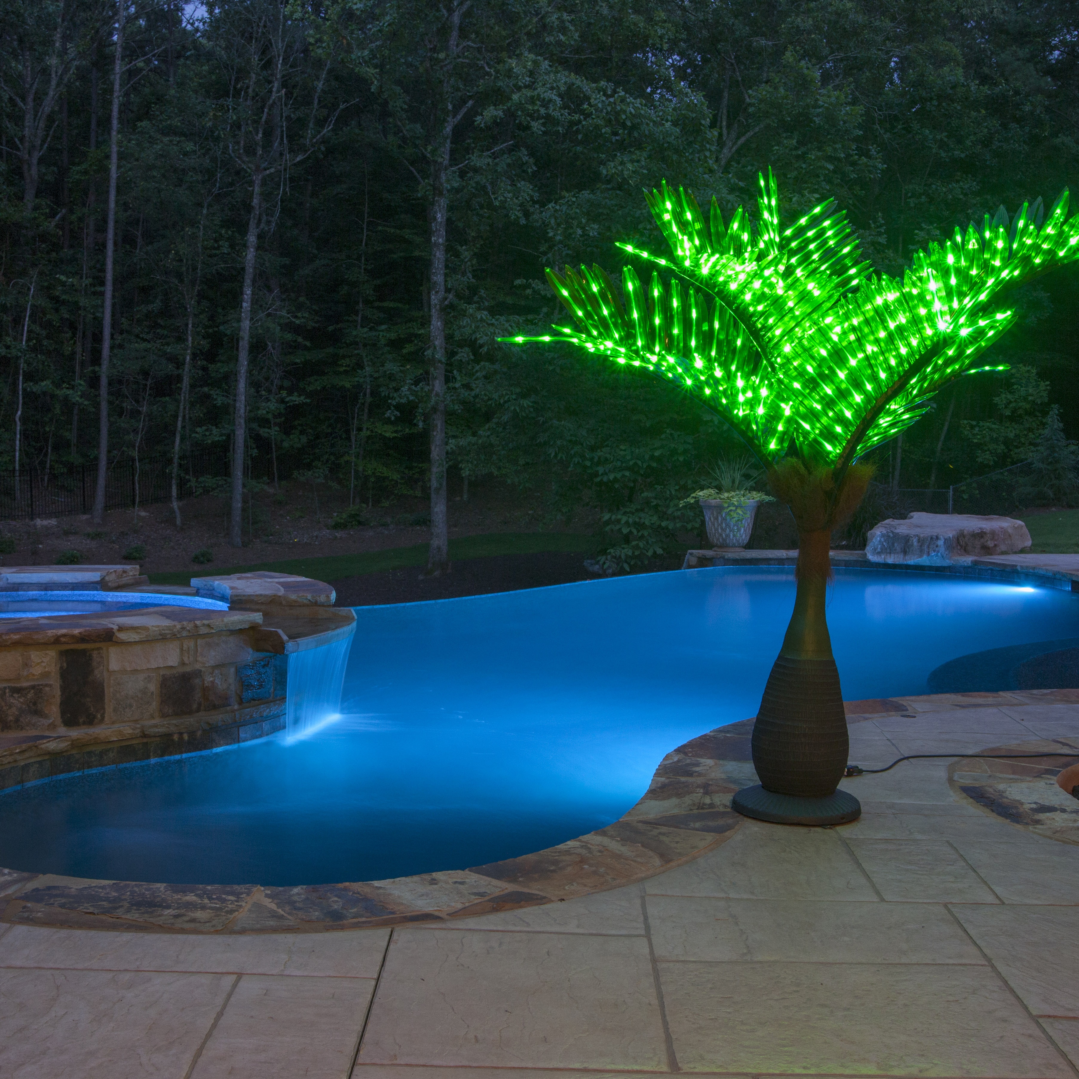 Commercial Palm Trees