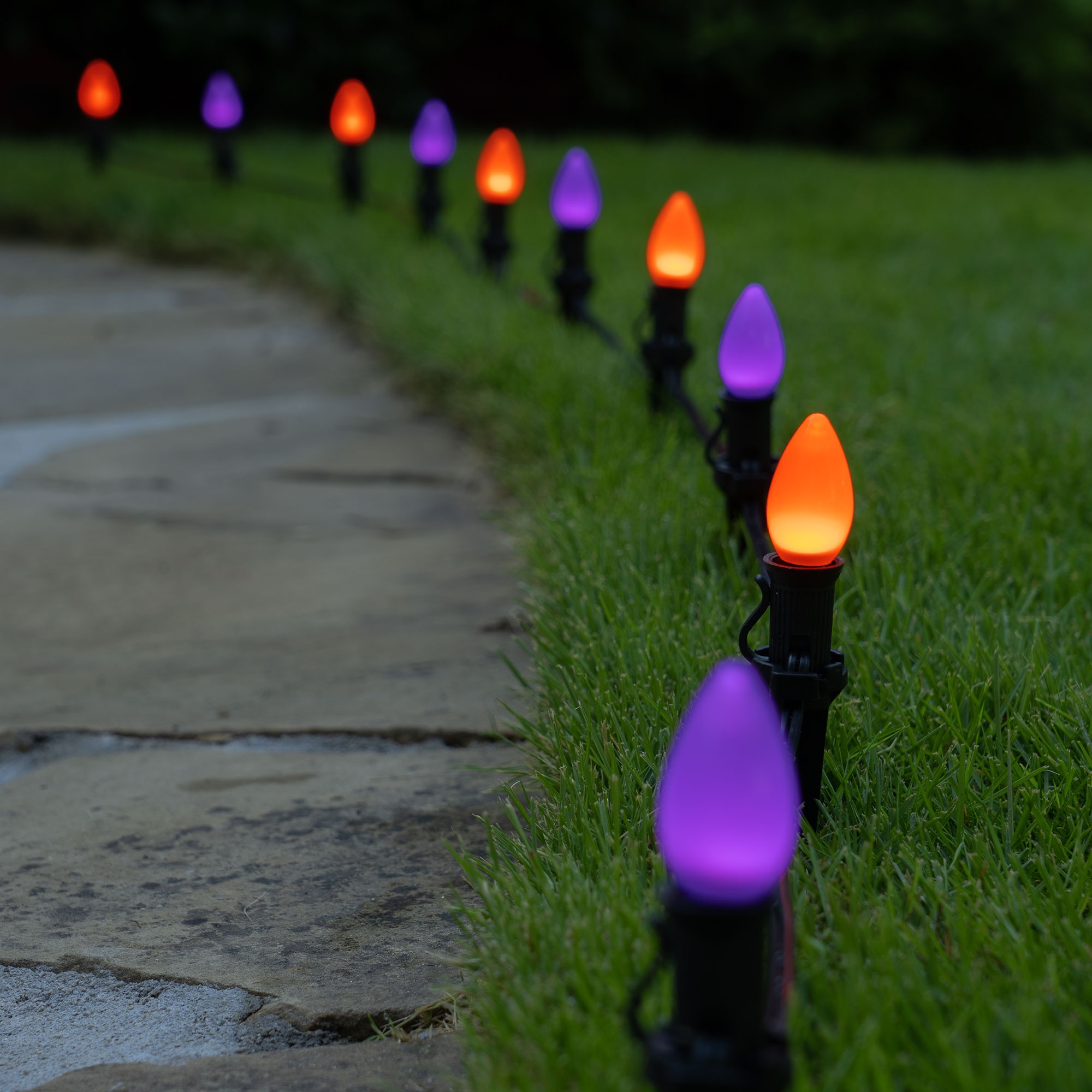 Purple Orange Halloween Lights
 Halloween Pathway Lights