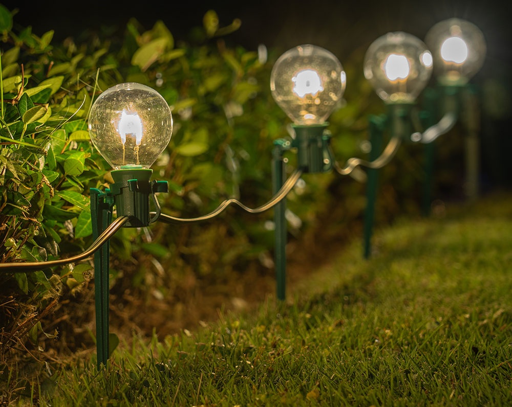 High on light. Christmas Pathway