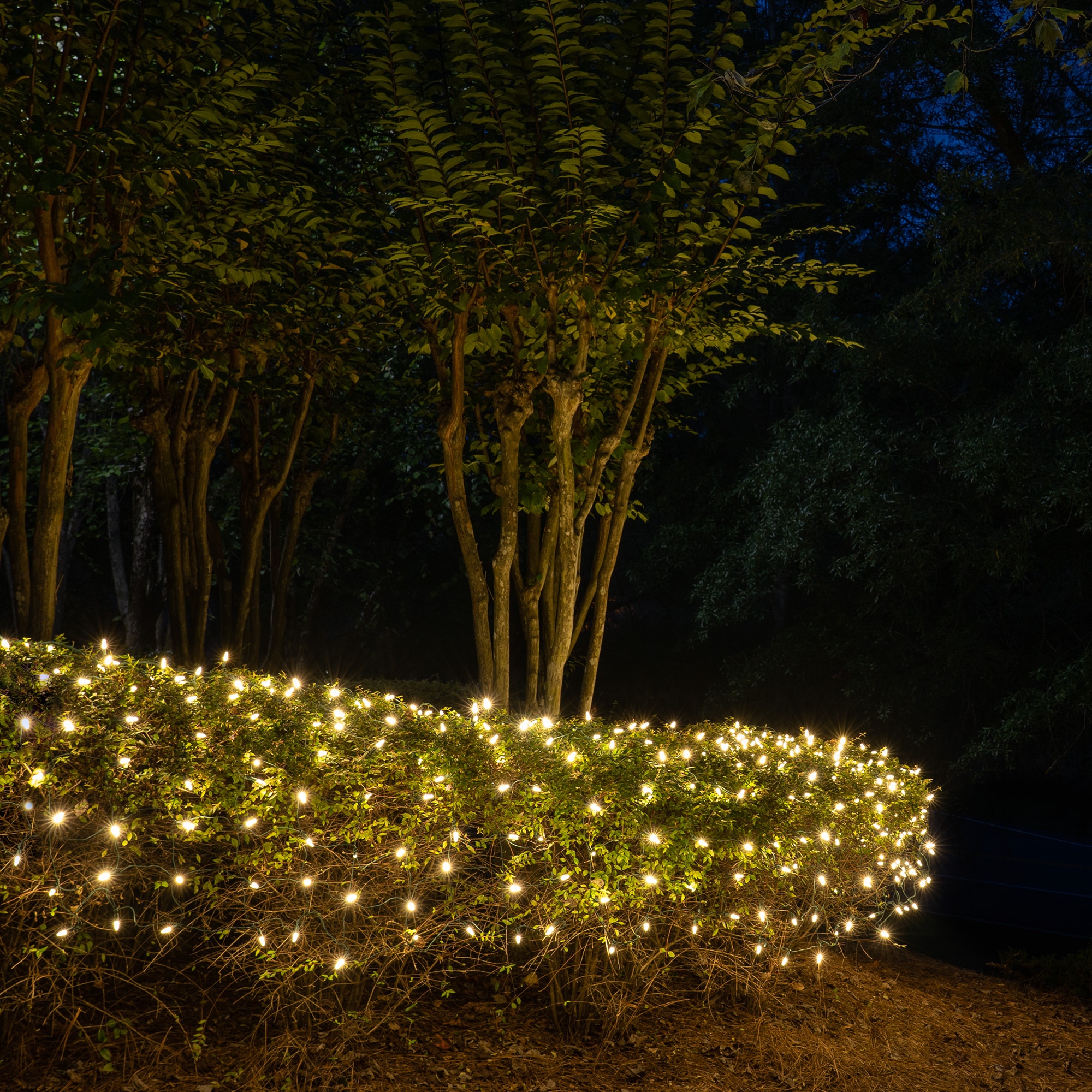 Net Lights And Tree Wraps, Outdoor Lighting For Trees And Shrubs